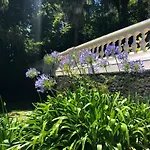 Quintinha De Palmyra Villa Camacha (Madeira)