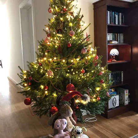 Villa Quintinha De Palmyra *