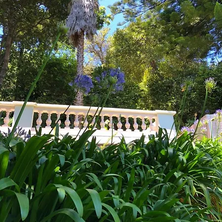 Quintinha De Palmyra Villa *