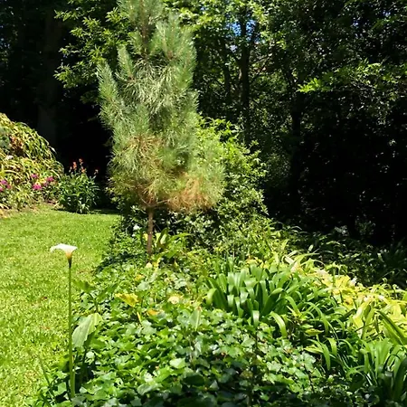 Quintinha De Palmyra * Camacha (Madeira)