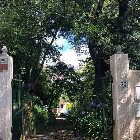 Quintinha De Palmyra Villa Camacha (Madeira)