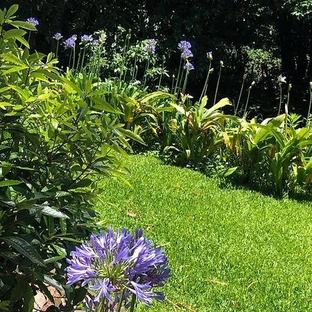 Villa Quintinha De Palmyra