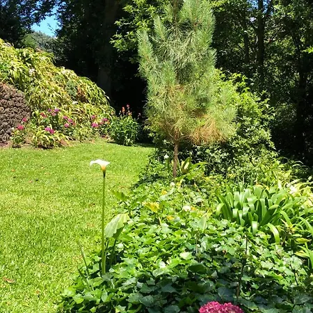 Quintinha De Palmyra Villa *