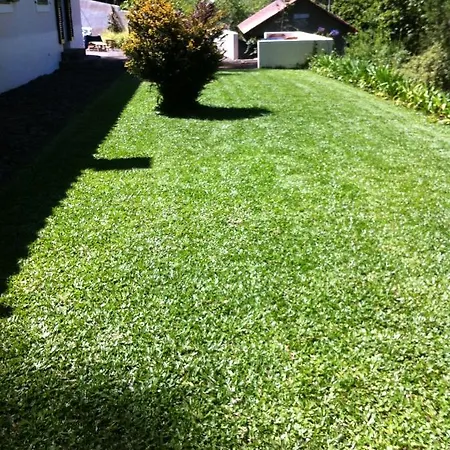 Quintinha De Palmyra