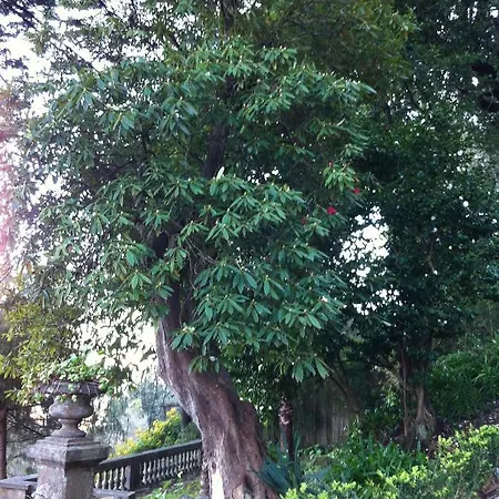 Villa Quintinha De Palmyra