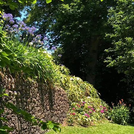 Quintinha De Palmyra *