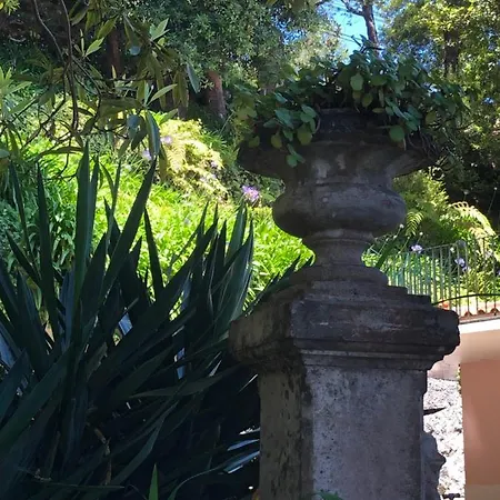 Quintinha De Palmyra Villa *