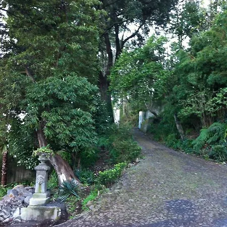 Quintinha De Palmyra Villa Camacha (Madeira)