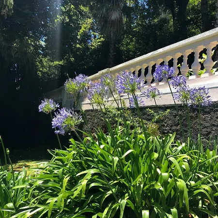 Quintinha De Palmyra Villa Camacha (Madeira)