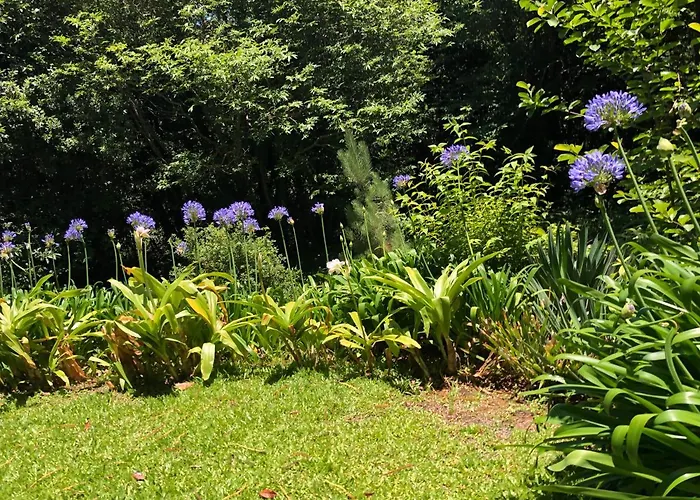 Quintinha De Palmyra וילה *