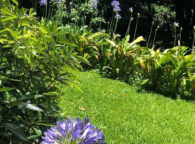 וילה Quintinha De Palmyra