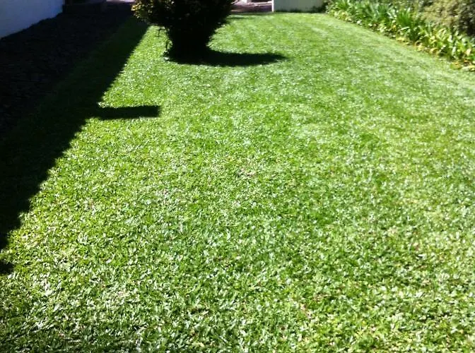 Quintinha De Palmyra