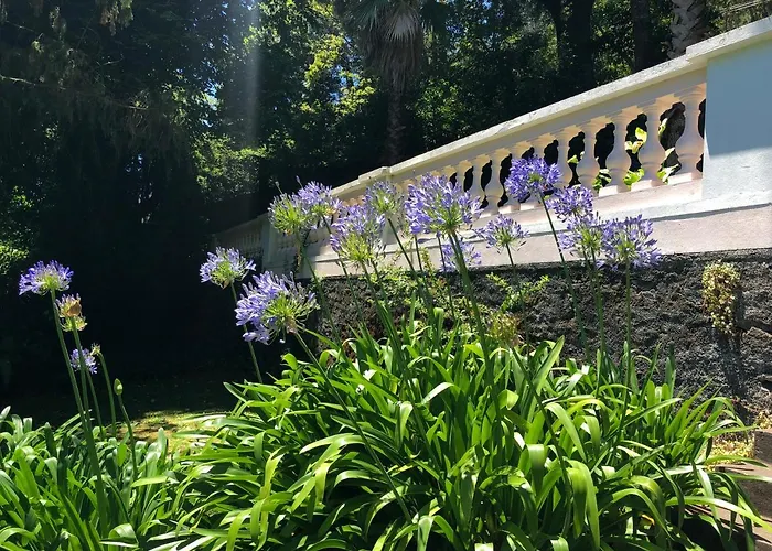 Quintinha De Palmyra וילה Camacha (Madeira)