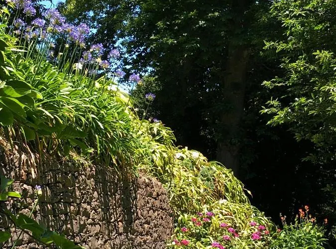 Quintinha De Palmyra *