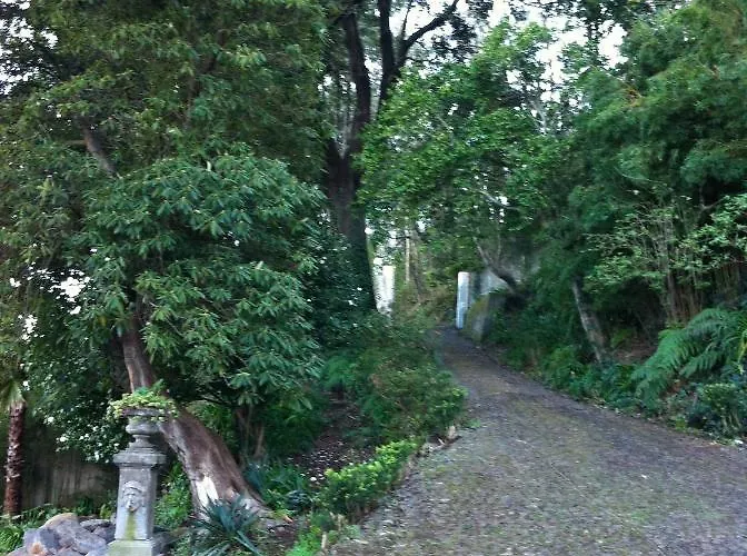 Quintinha De Palmyra וילה Camacha (Madeira)